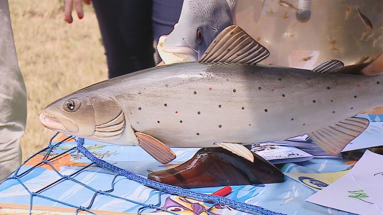 Poznali podwodne życie Morza Bałtyckiego