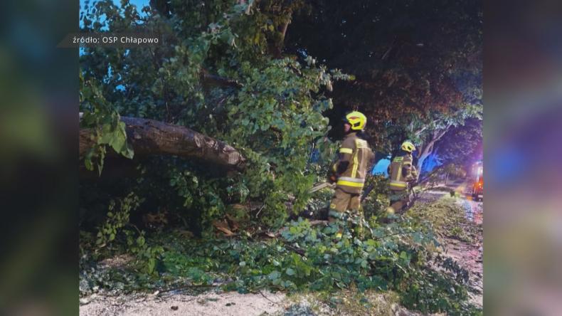 Wichura na Kaszubach – strażacy informują o powalonych drzewach