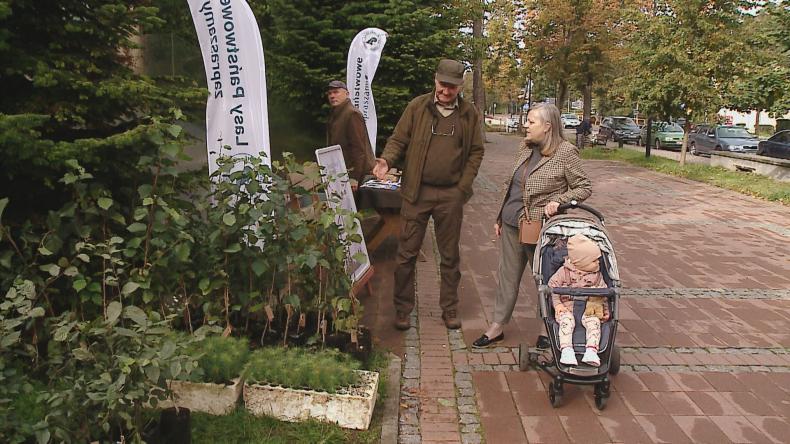 Leśnicy rozdają sadzonki drzew