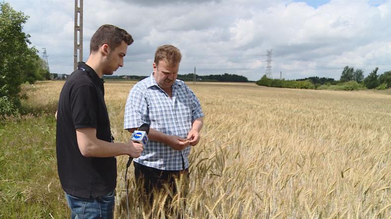 Rolnicy przeklinają słońce