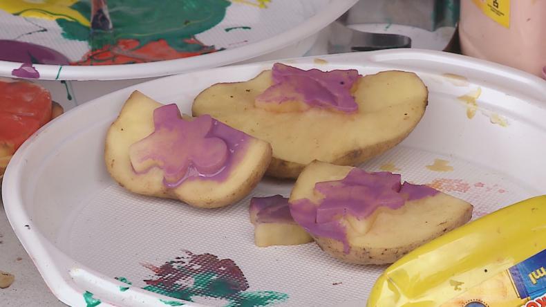 Ziemniak na dobre zagościł w Redzie