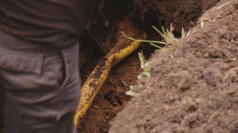 Uszkodzony gazociąg w Rybnie