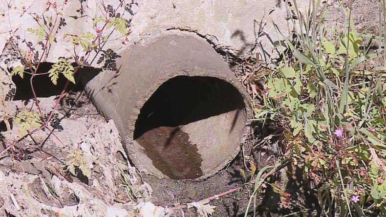 Ścieki z zatkanych studzienek wpływają do rzeki