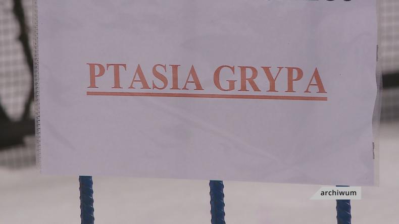 Szykują się na uderzenie ptasiej grypy