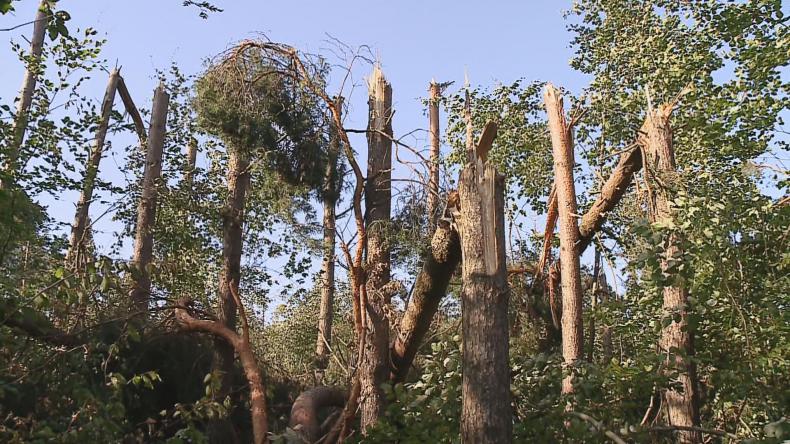 Gmina Linia nadal zmaga się z problemami po nawałnicy
