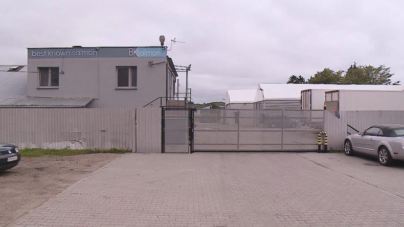 BK Salmon zabiera głos w sprawie śmierci w Danii