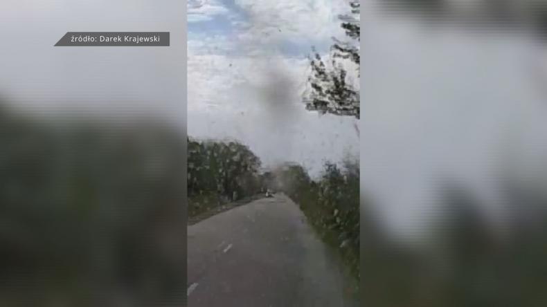 Egipska plaga nawiedziła półwysep?