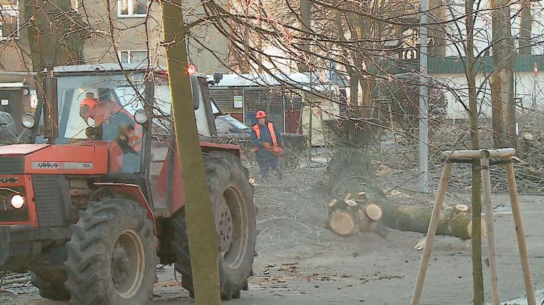 Wycinka drzew początkiem modernizacji ulic