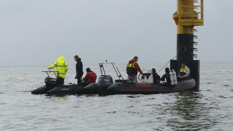 Gdzie się podziały ryby z Zatoki Puckiej?