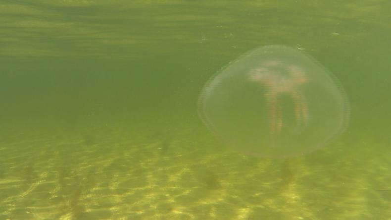 Zatopiony port będzie atrakcją Pucka